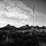 Big Bend 1